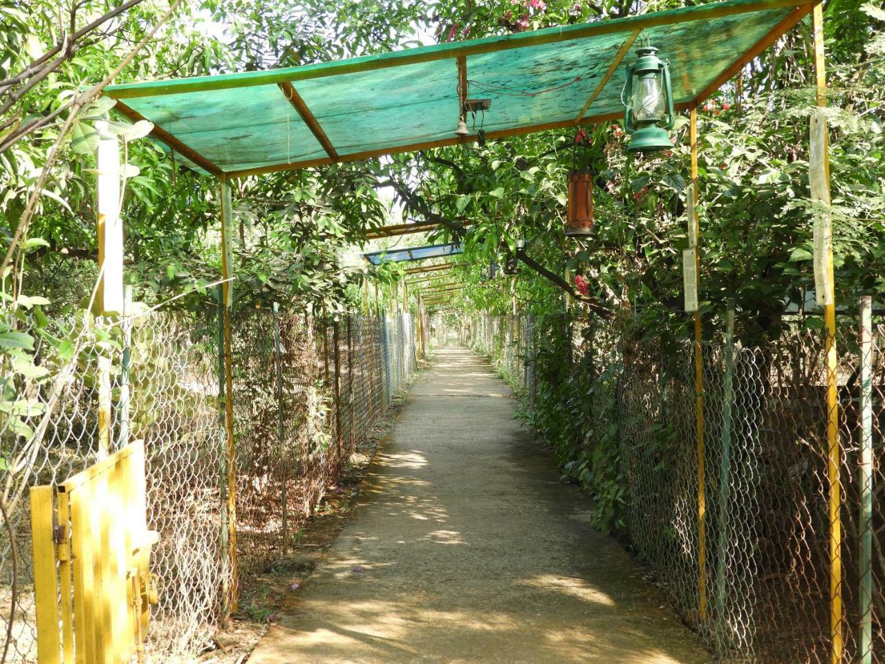 Dirghayu Farms Agri Resort Pvt Ltd Atgaon Экстерьер фото